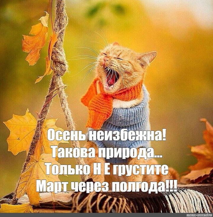 )))