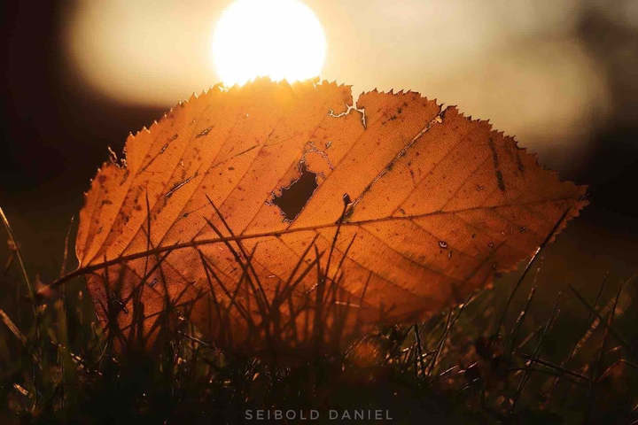 herbstlich