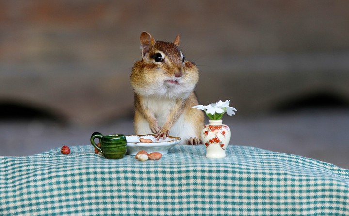 Breakfast :)