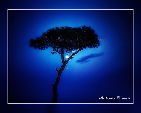 fullmoon