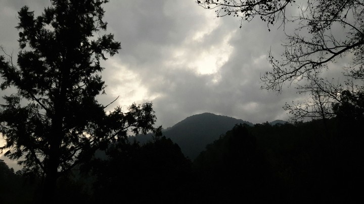 Darky