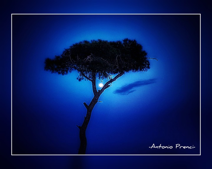 fullmoon