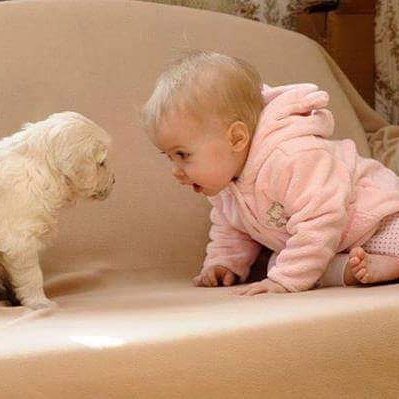 cutest