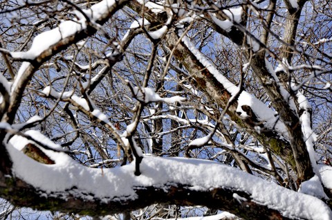 winter