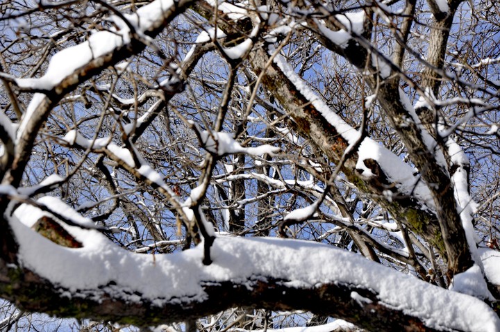 winter