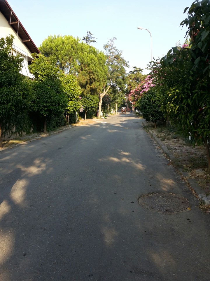 street