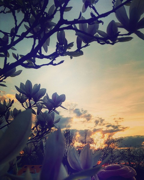 Sunset from the top