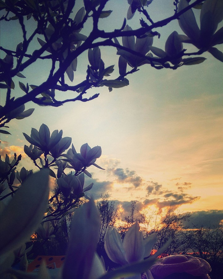 Sunset from the top