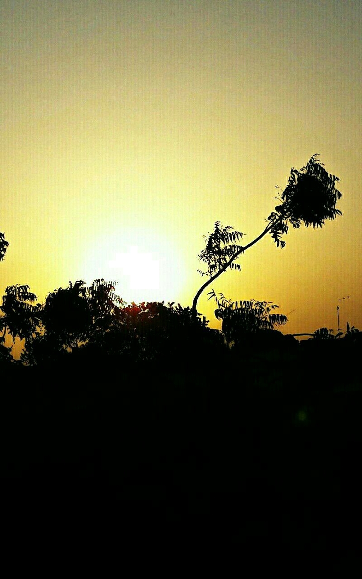 $unset 