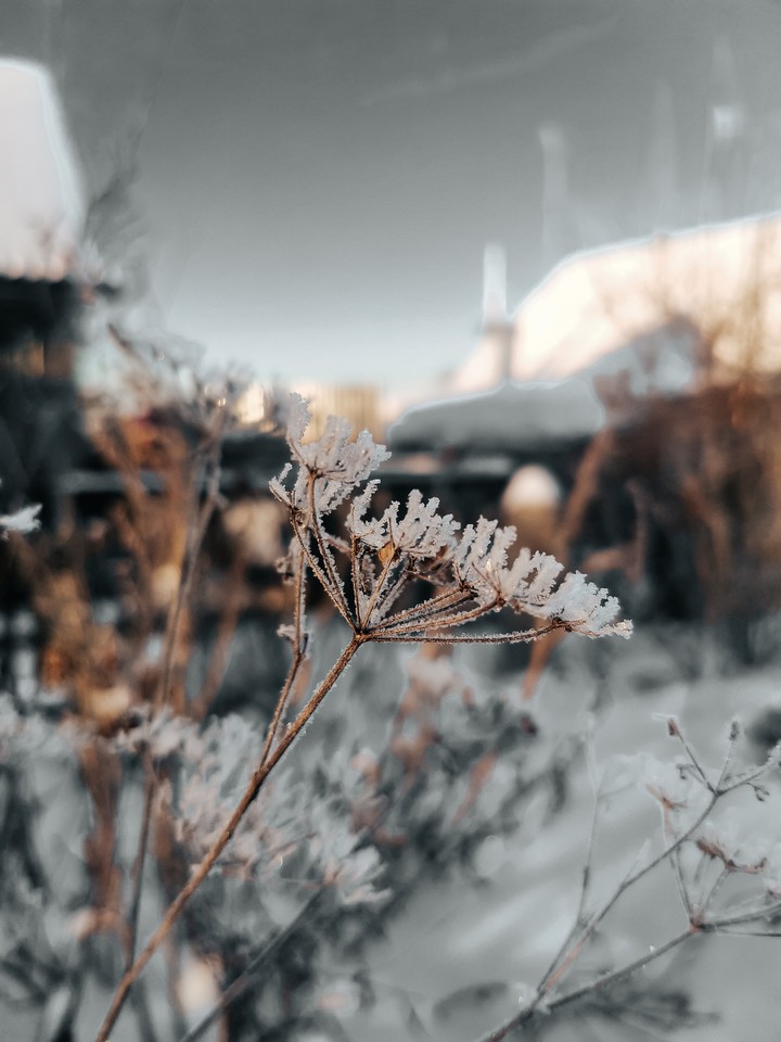 winter