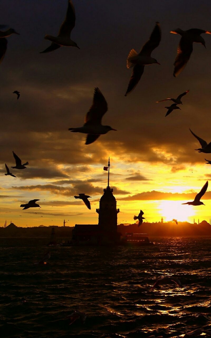 Romantic sun set ♡HM♡