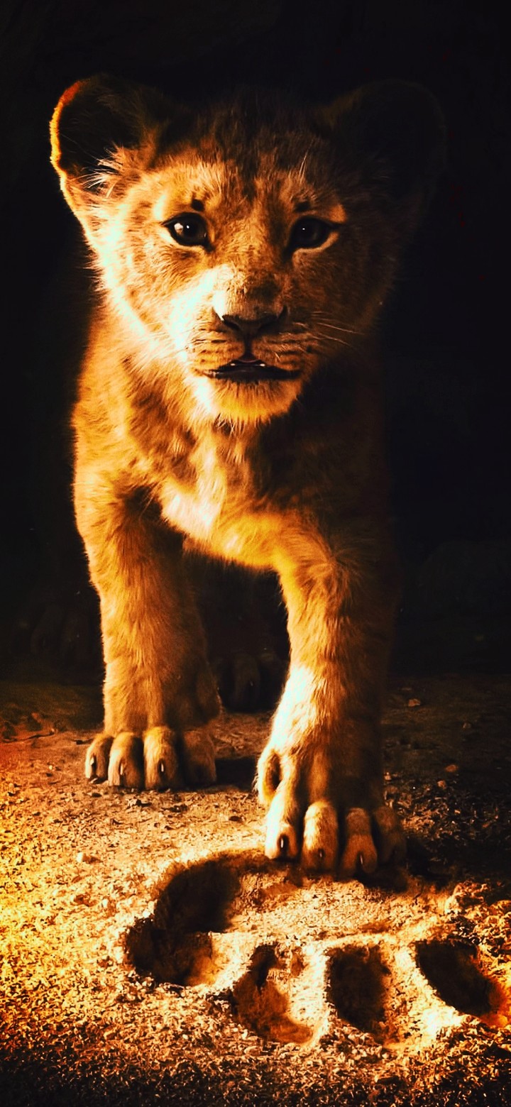 lion cub