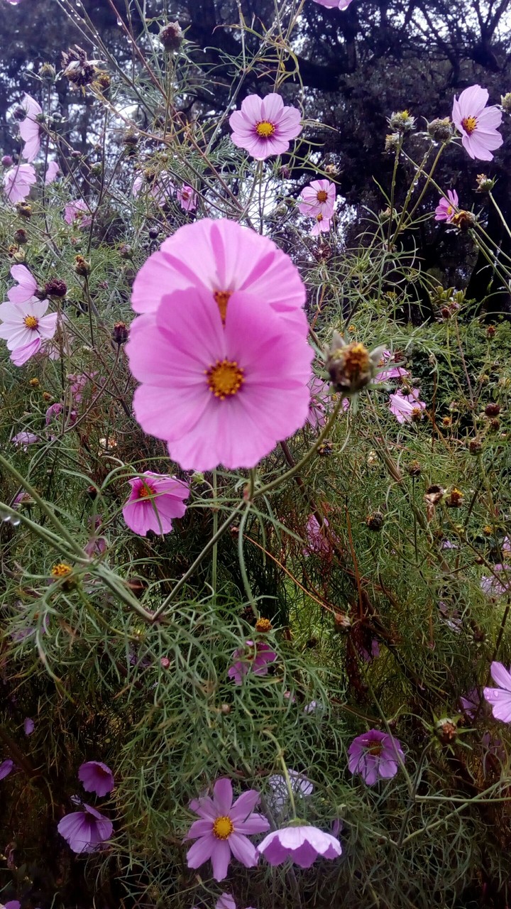 Nature's beauty