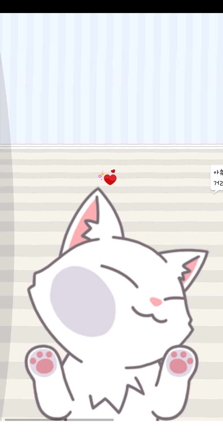 흰 고양이