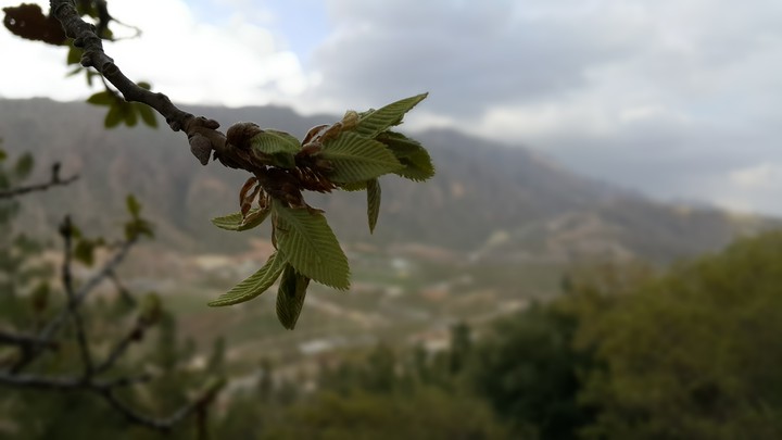 kurdistan mountains