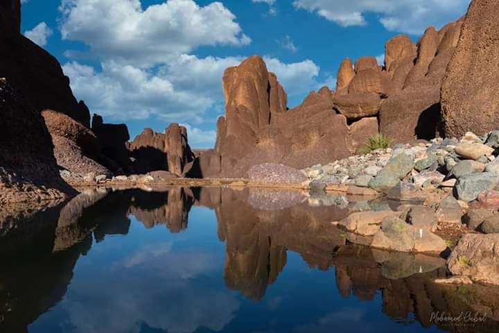 nature in Morocco⭐⭐⭐