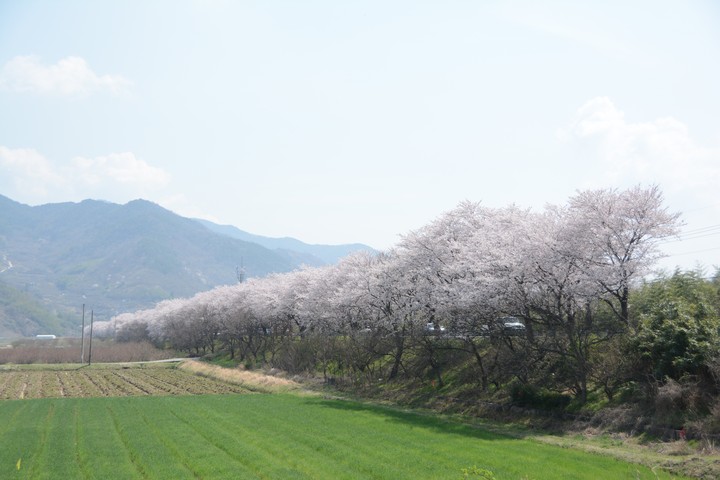 하동이미지