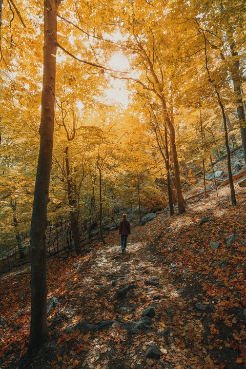 walk ..