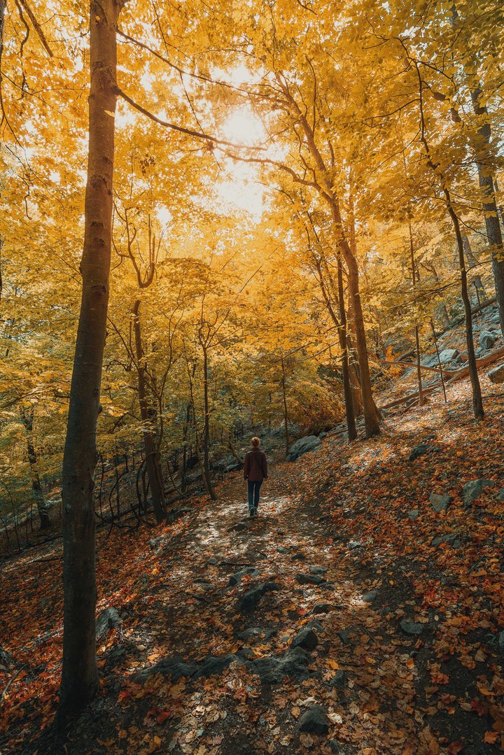 walk ..