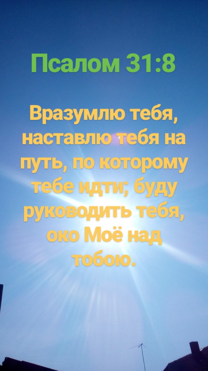 Bible