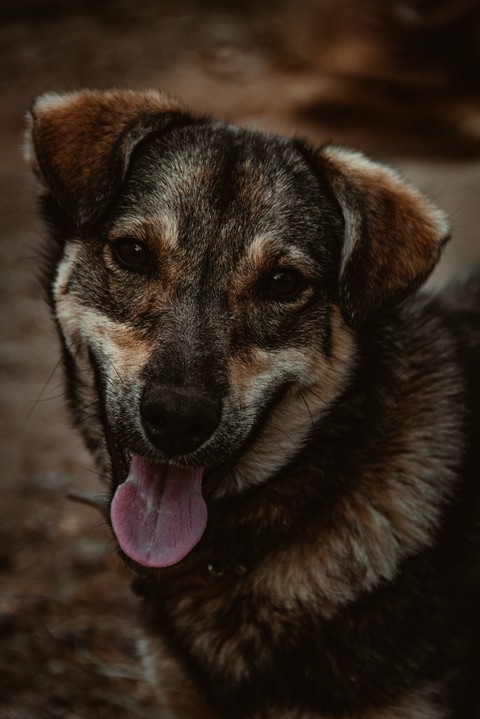 Best friend