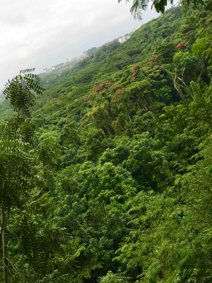 Paisaje