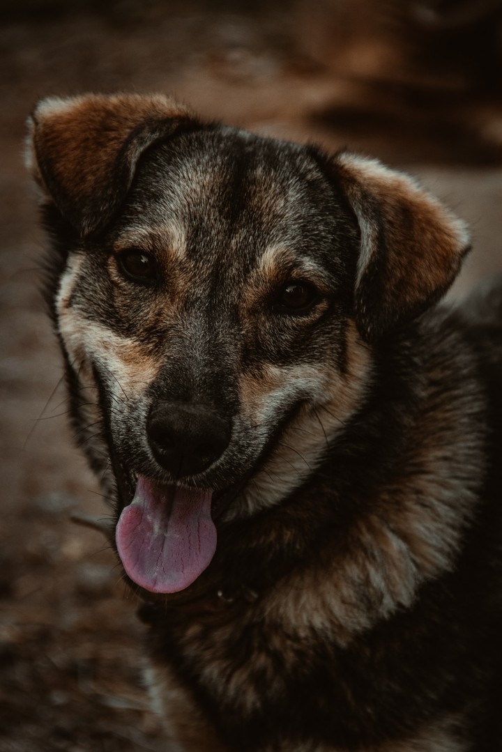 Best friend