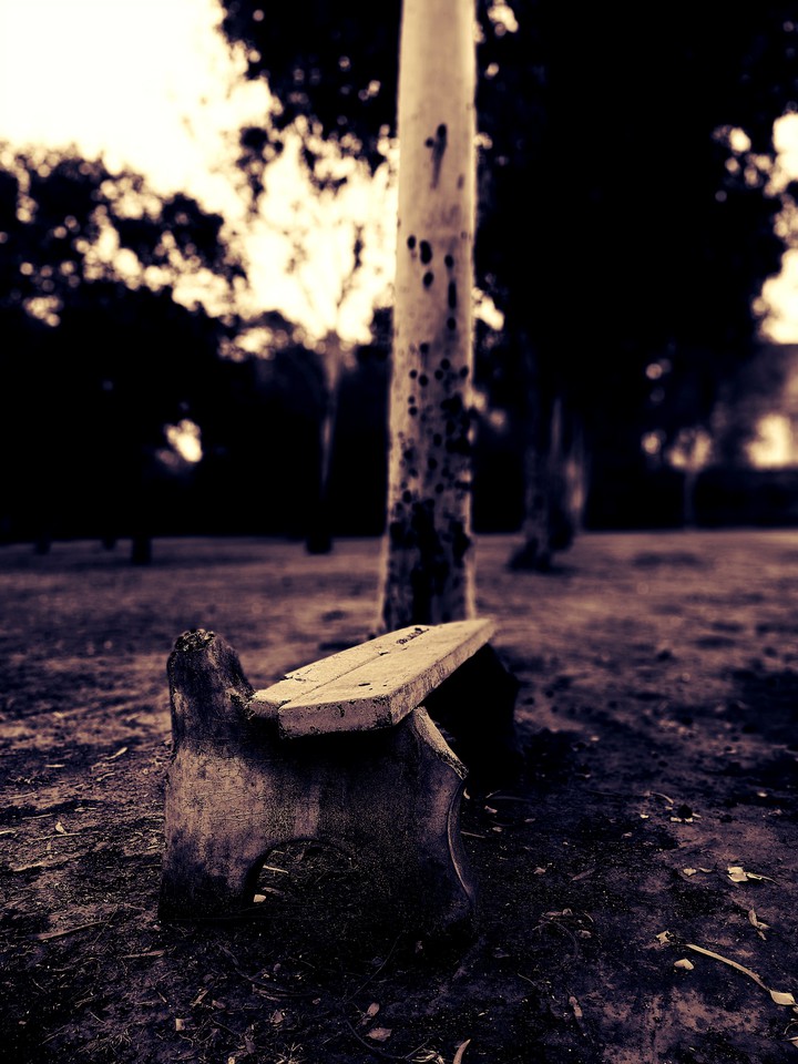 Lonely