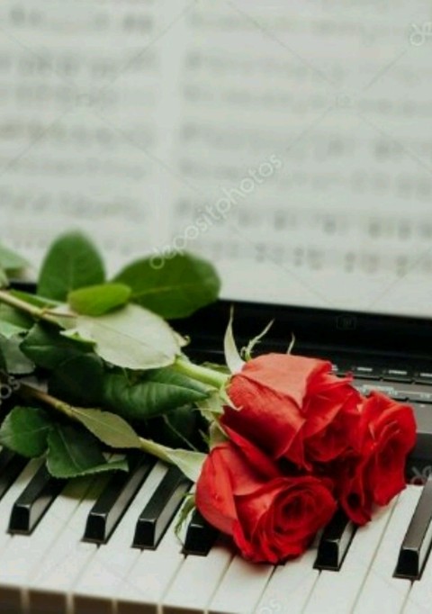 шпалери red, flower