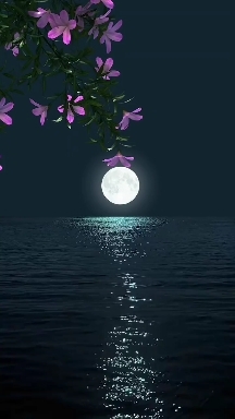 Flowers, wind & moon