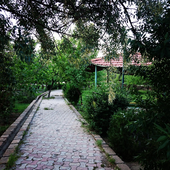 tabriz-iran