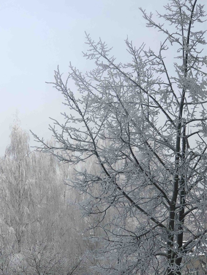 winter
