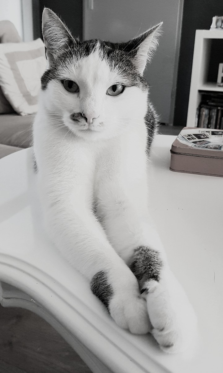 Mr. Stinky Winky