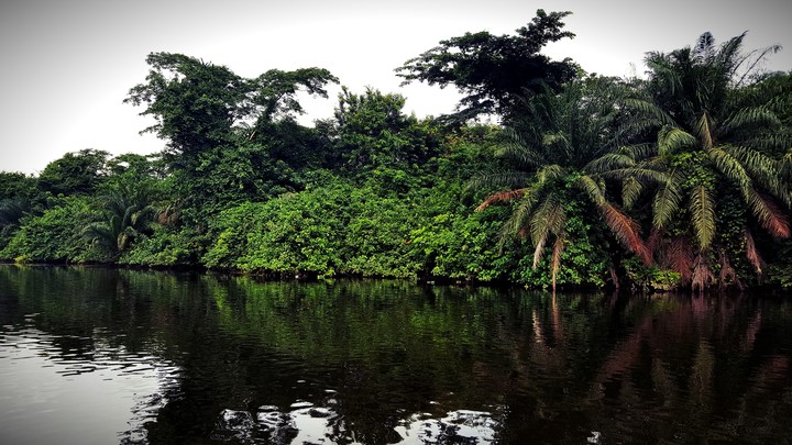 Nature in Ghana