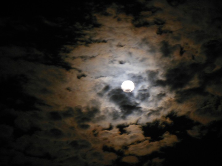 Moonlight