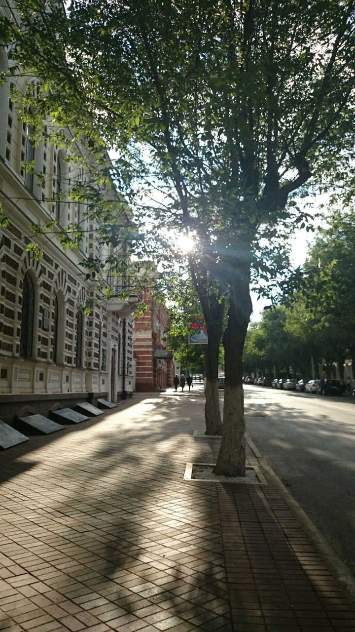 Street