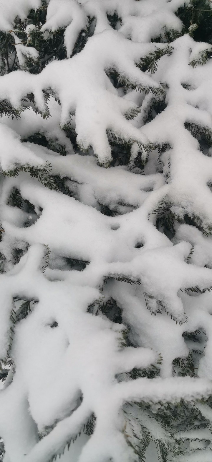 snow