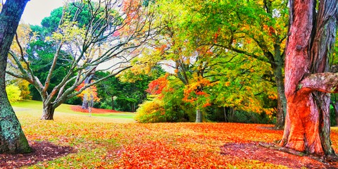 park