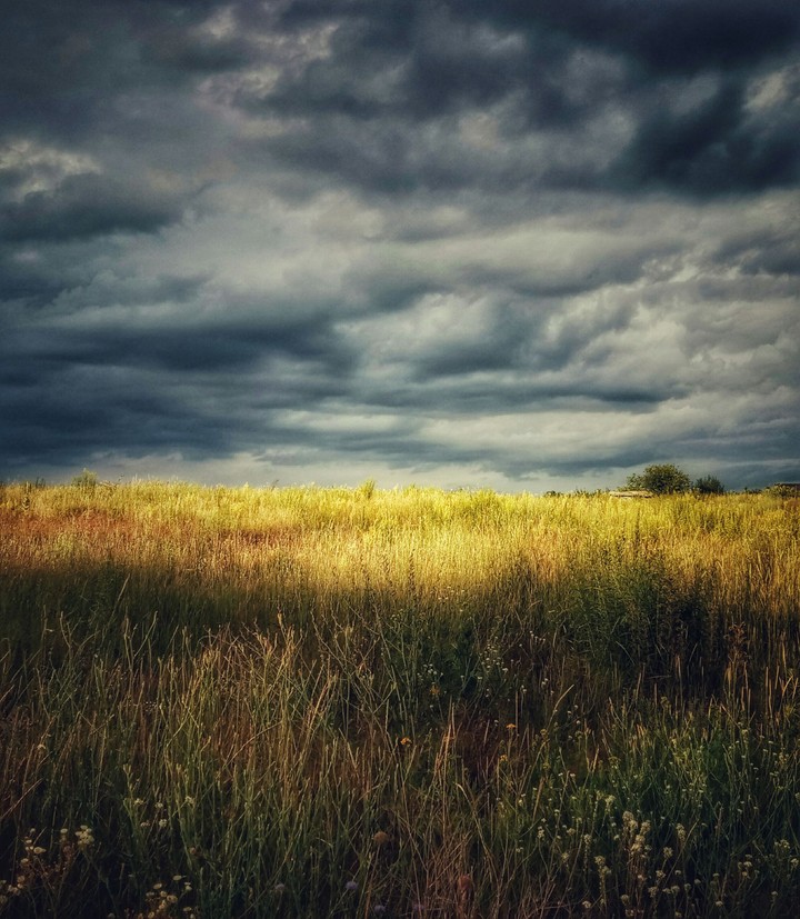 Ukraine