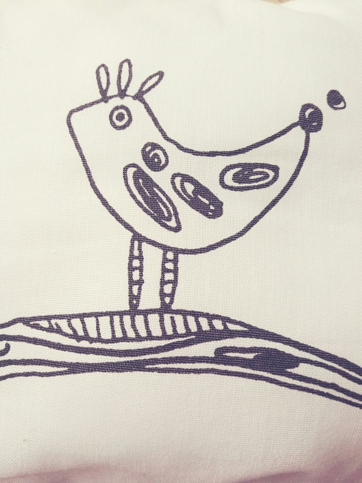 bird