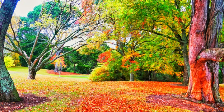 park