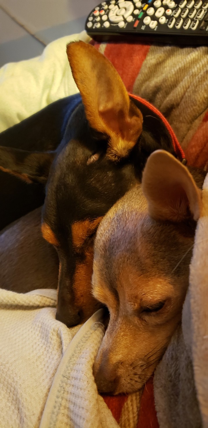 Sleepy sweeties
