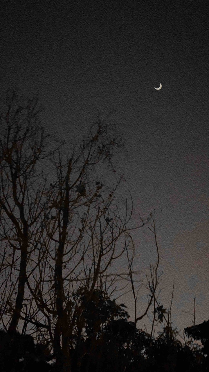 Night