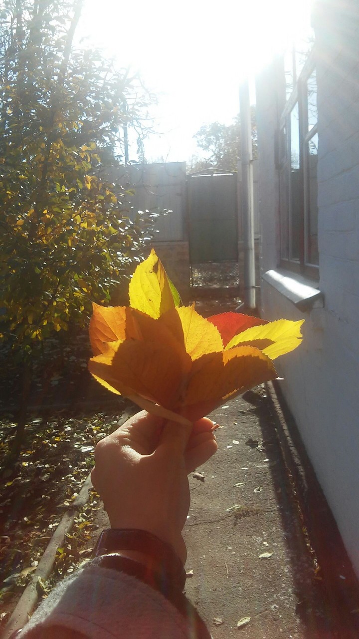 Autumn in the country
