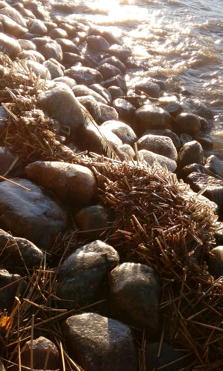 Sea