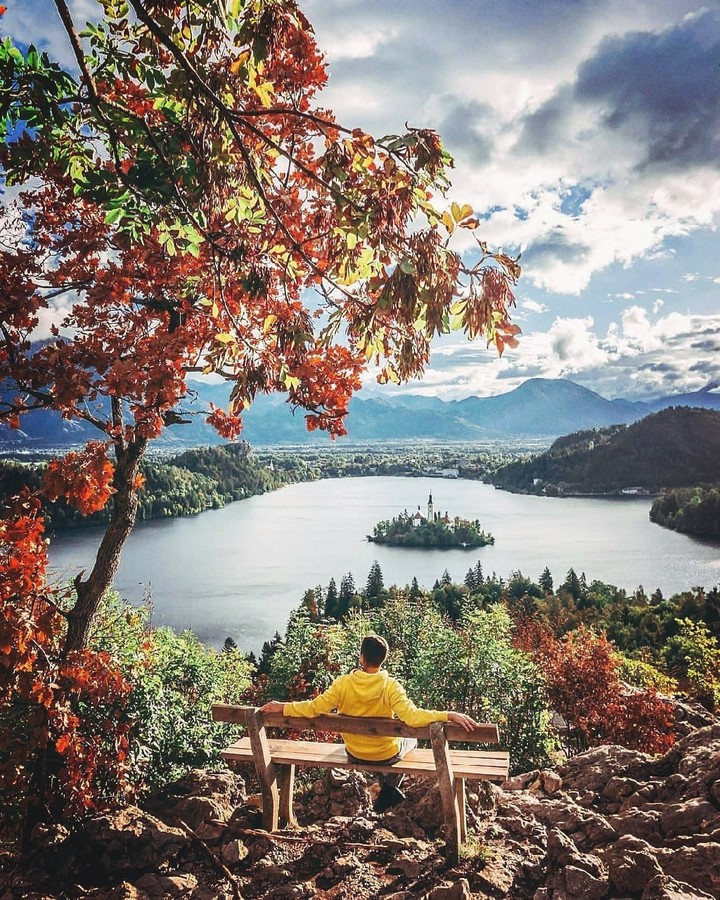 BEAUTIFUL SCENERY fake without you