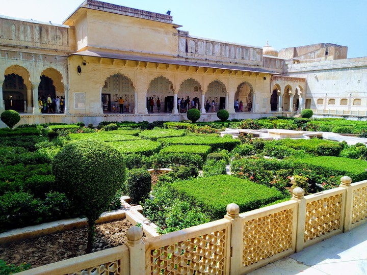 garden