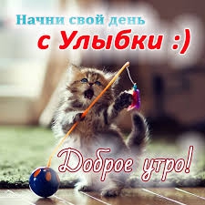 с добрым утром