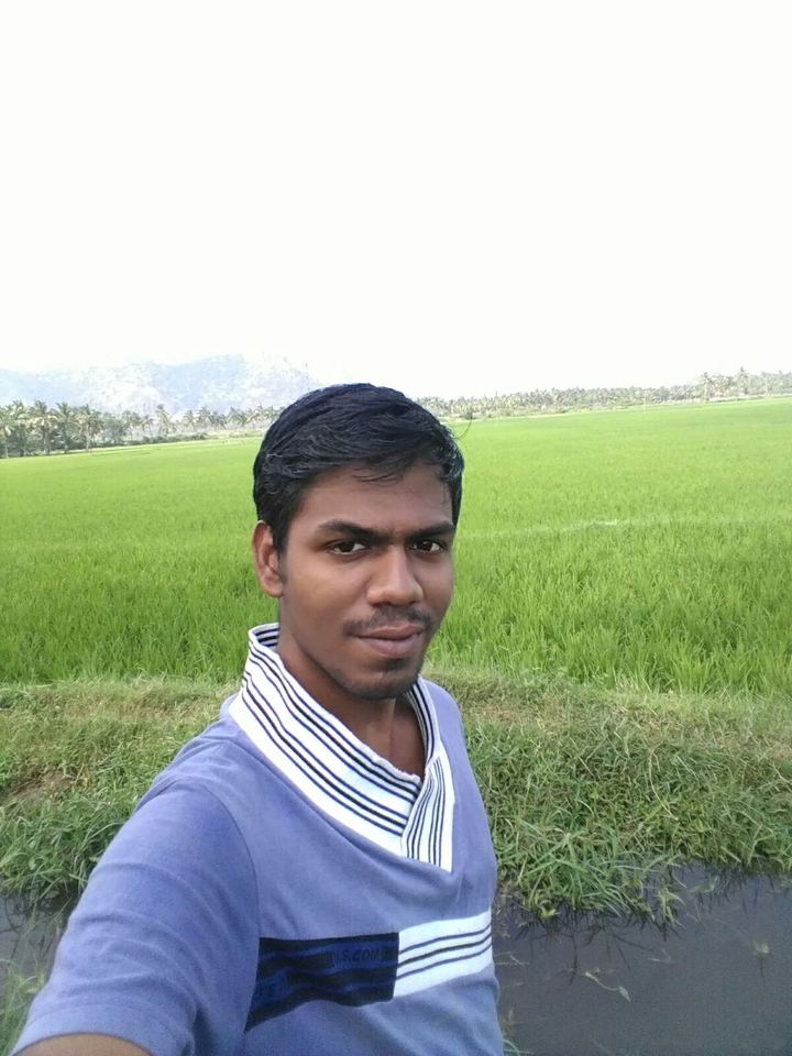 nature