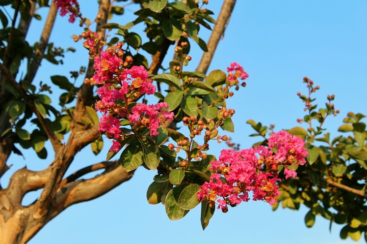 Zauber der Natur